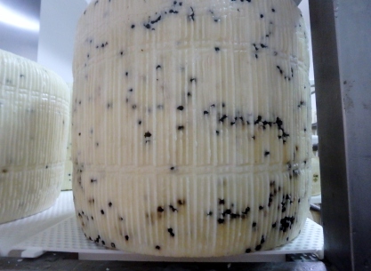 A form of pecorino with peppercorns.