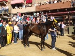After the trial, Aquila's horse, jockey and contrada members meet and walk off the Piazza together. Every contrada does this.