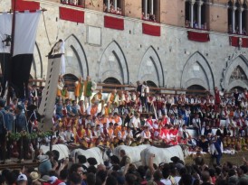 Oxen pull the cart carrying the Palio banner.