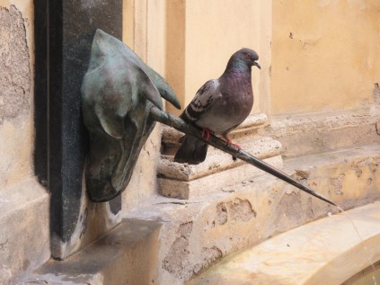 A bird finds a nice perch on the horn of the unicorn at the fountain in the unicorn contrada.