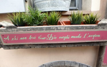 Signs outside the Scaccia Pensieri wine bar. "May whoever doesn't drink wine, be also denied water by God."