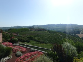 A view of the Barolo countryside